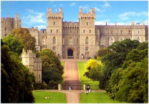 windsor-1