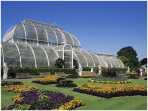 kew-1