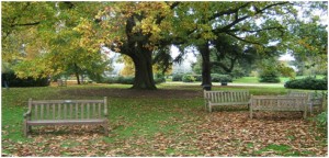 kew-2